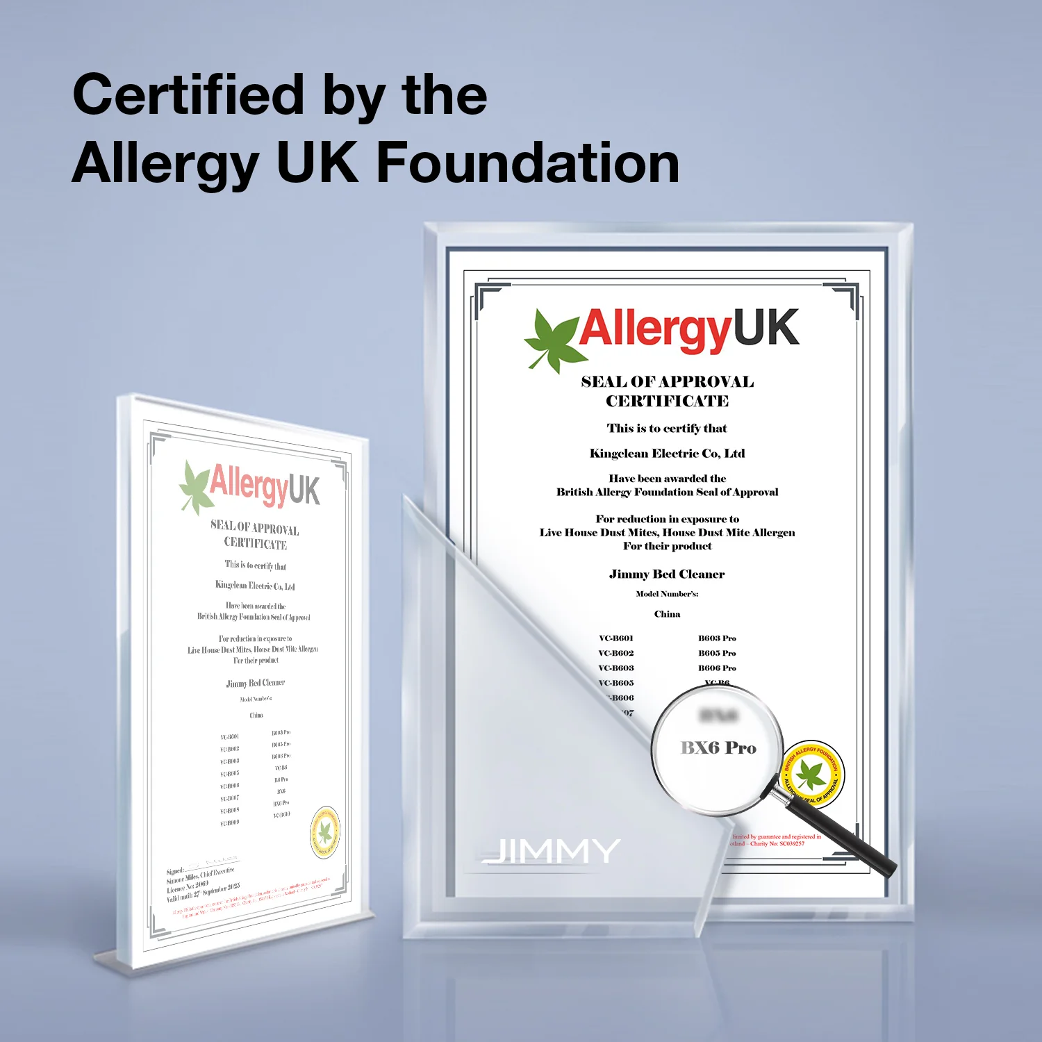 BX6 Pro Bed Vacuum Cleaner - Image 11